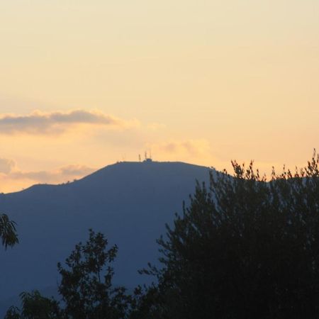 La Quercia Agriturismo Imperia Luaran gambar